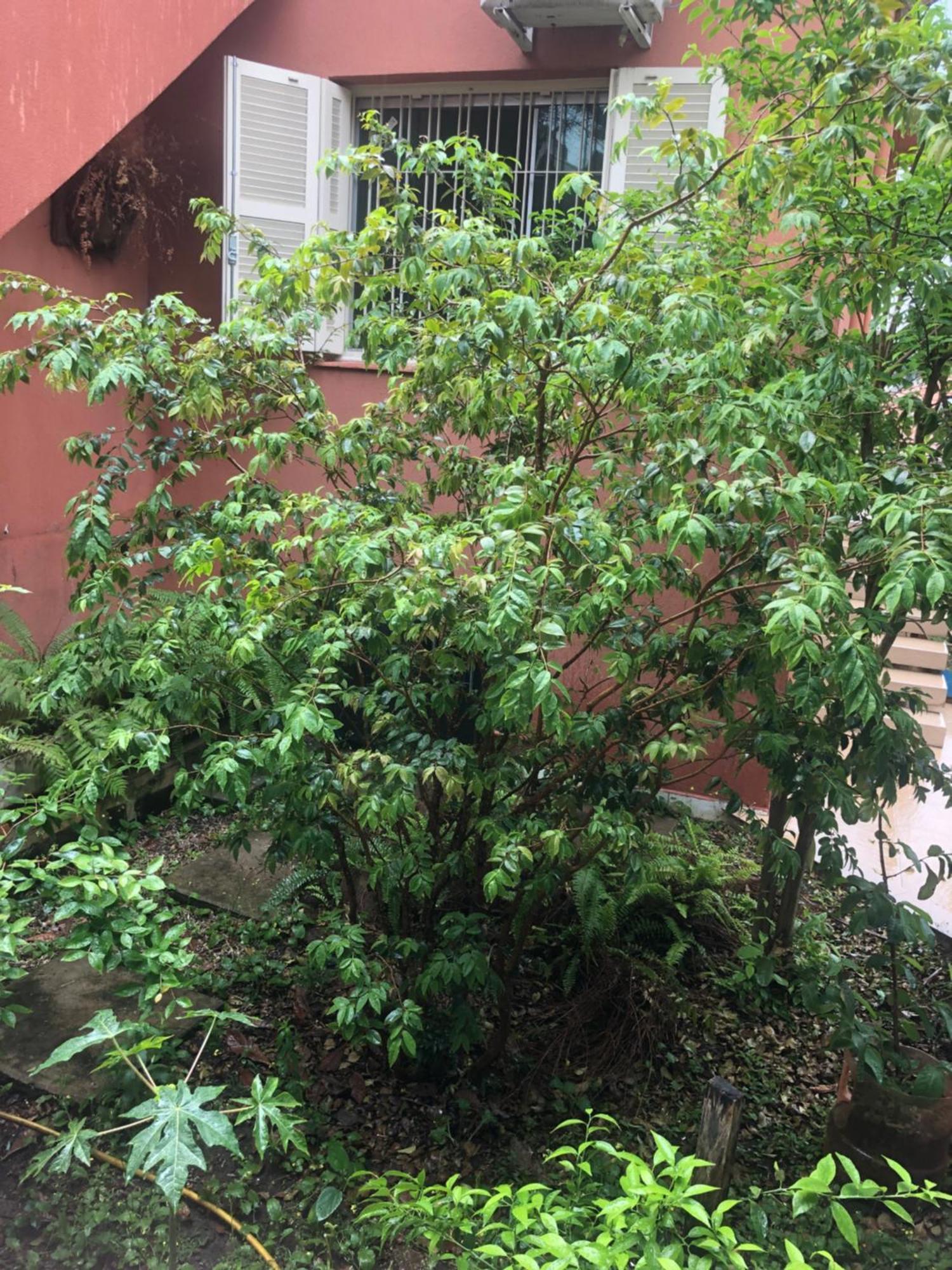 Hostel Martina, Suite 100M Spexpo São Paulo Eksteriør billede